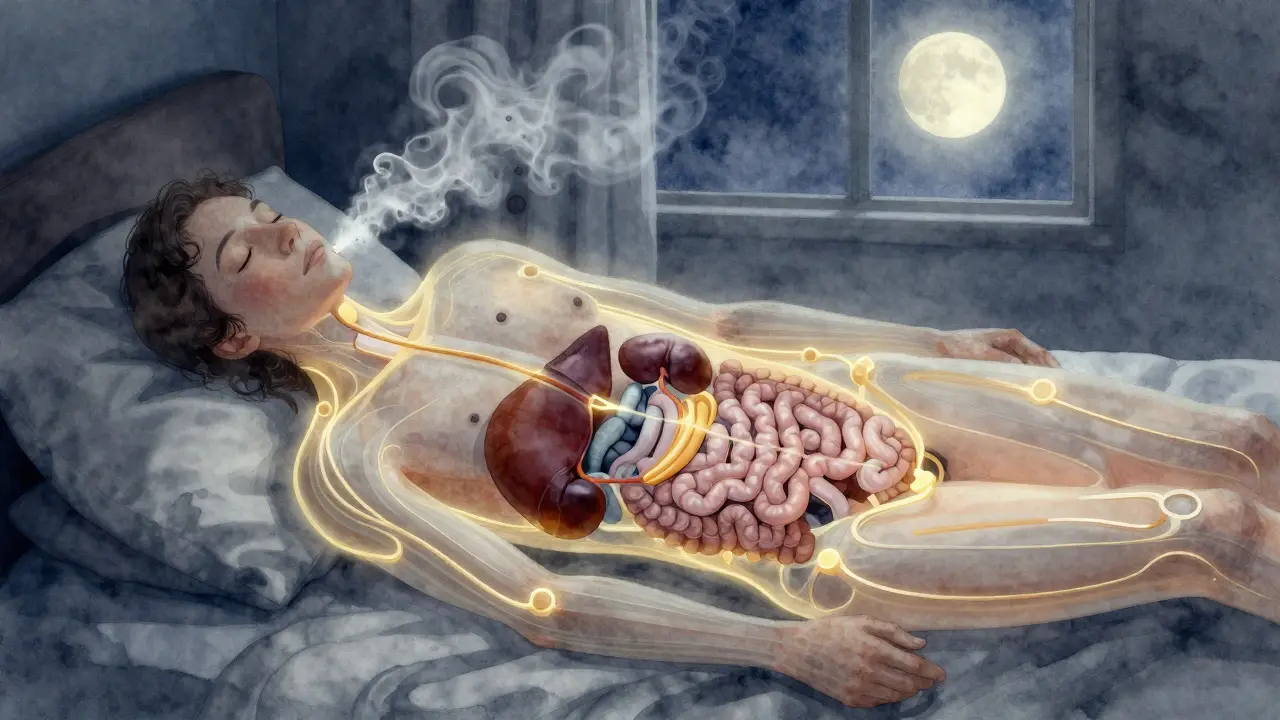 Tělo čistí během spánku – toxiny se vylučují skrze kůži, moč a dech pod měsíčním světlem.